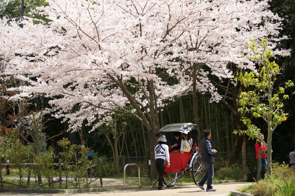 Kyoto: Arashiyama Customized Rickshaw Tour & Bamboo Forest - Meeting Point and Tour Options