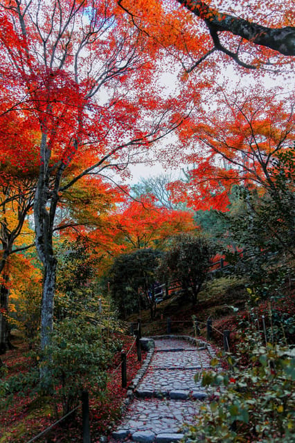 Kyoto/Osaka: Sanzen-in and Arashiyama Day Trip - Sanzen-in Temple Visit