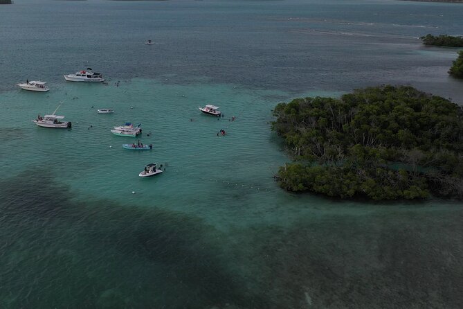 La Parguera Glowing Bioluminescent Bay Boat Tour From San Juan - Meeting Points and Pickup