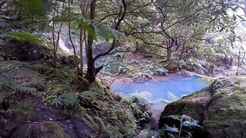 Lagoa Do Fogo: Guided Volcano Geo Tour W/ Hotsprings Bathing - Highlights and Learning Experience