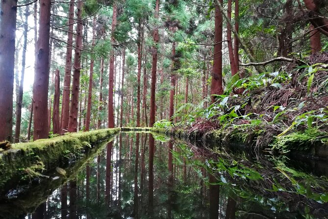 Lagoa Do Fogo Walking Tour With Lunch From Ponta Delgada - Group Size and Accessibility