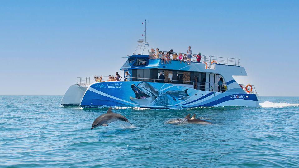 Lagos: Dolphin Watching Half-Day Cruise & Water Activities - Highlights of the Experience