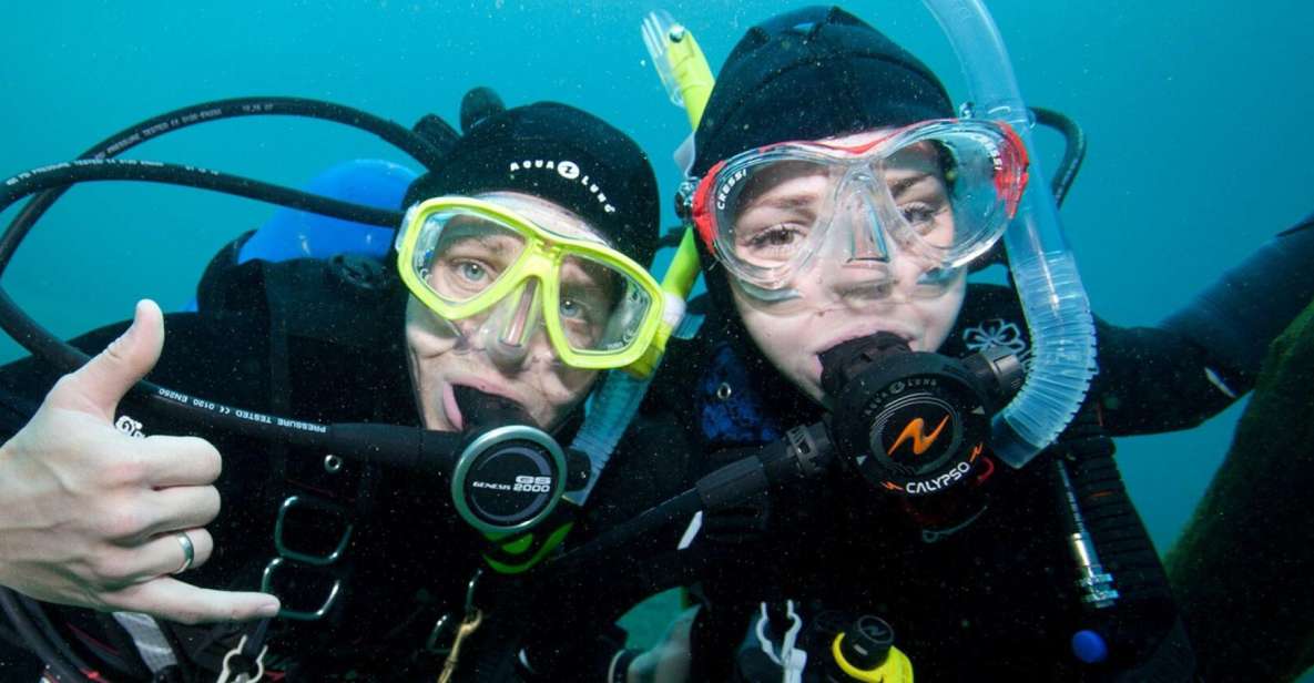 Lagos: Guided Scuba Diving Trip for Beginners - Participant Requirements