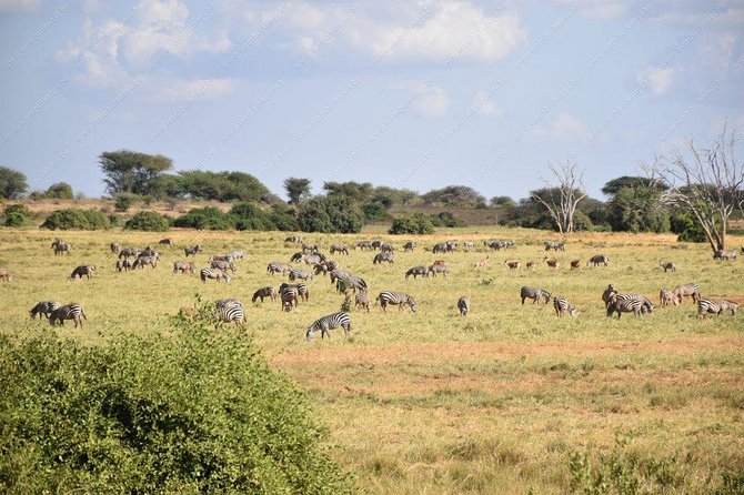 Lake Naivasha Day Tour Including the Crescent Island - Booking and Additional Information