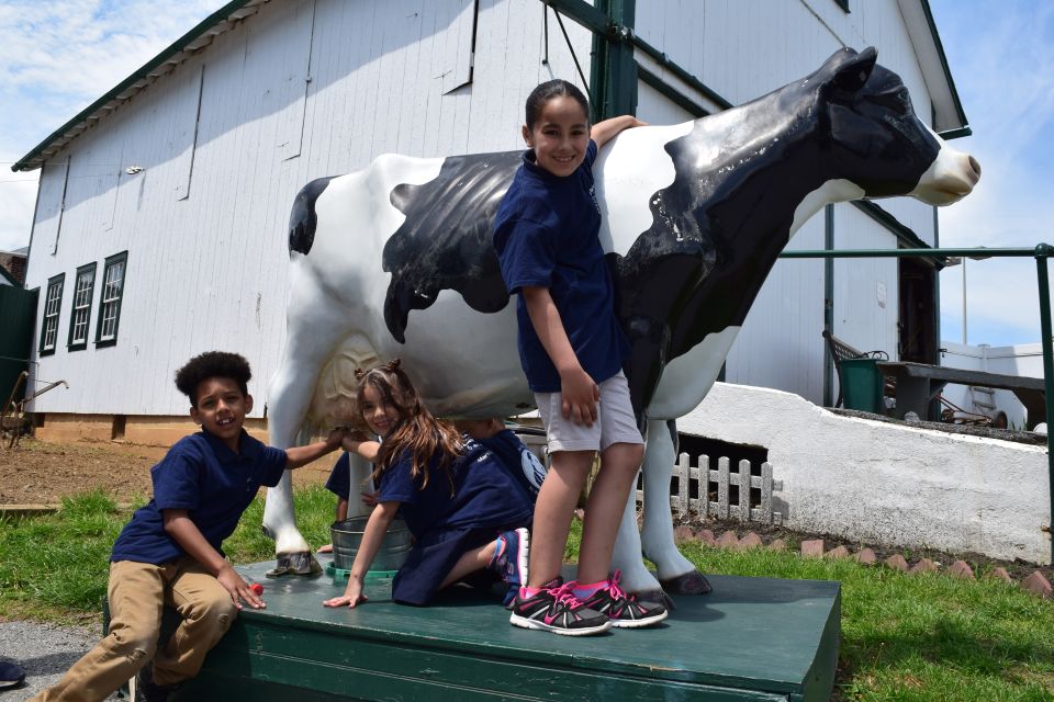 Lancaster County: Amish Farmlands, Museum Tour, Farm Visit - Guided Tour Experience