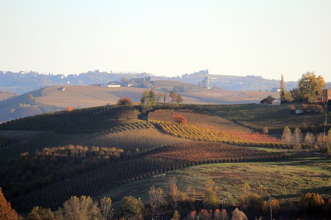 Langhe (Piedmont): Wine Tasting Experience - Meeting Information