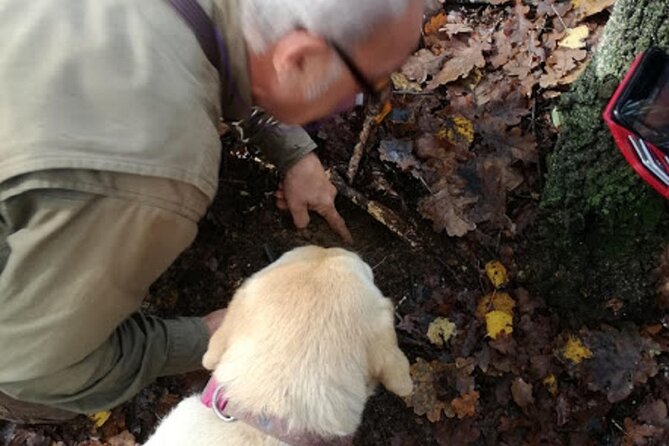 Langhe Truffle Hunting Experience - Meeting Point and Travel