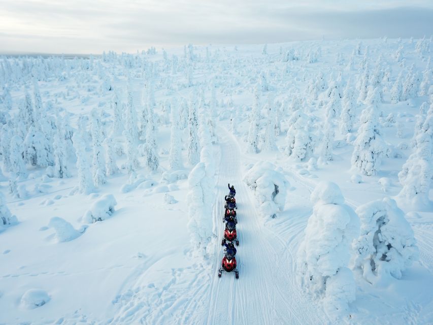 Lapland: Full-Day Snowmobile Safari Into the Wilderness - Outdoor Lunch Prepared Over Open Fire