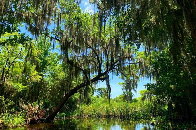 Large Airboat Swamp Tour With Transportation From New Orleans - Safety and Participation Requirements