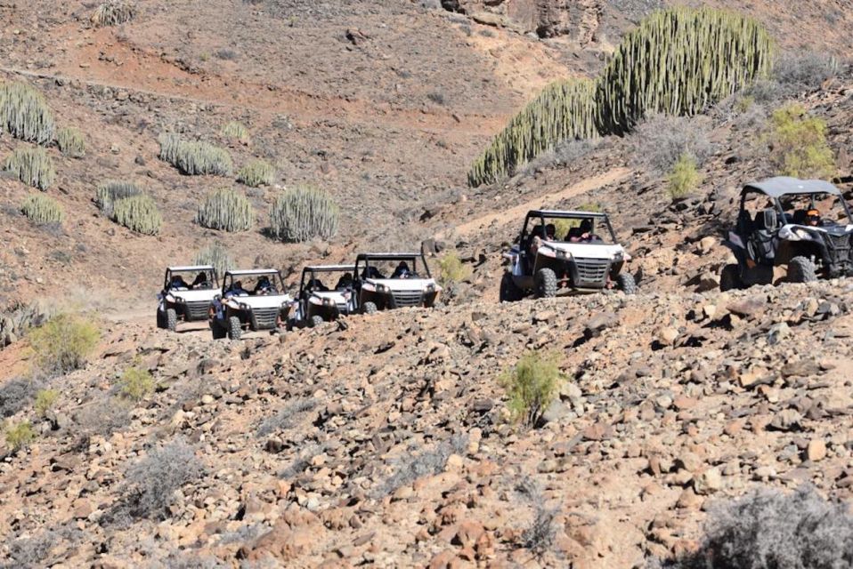 Las Palmas: Gran Canaria Guided Buggy Tour - Inclusions and Requirements