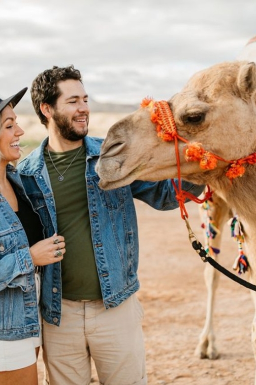 Las Vegas: Camel Safari Zoo Safari Tram Tour - Frequently Asked Questions