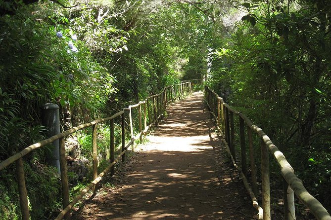 Levada Do Caldeirão Verde Levada Walk From Funchal - Discovering the Village of Santana