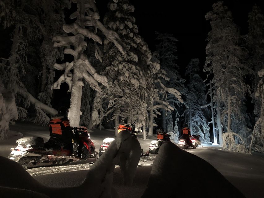 Levi: Northern Lights Snowmobile Tour With Snacks and Drinks - Wilderness Stop and BBQ