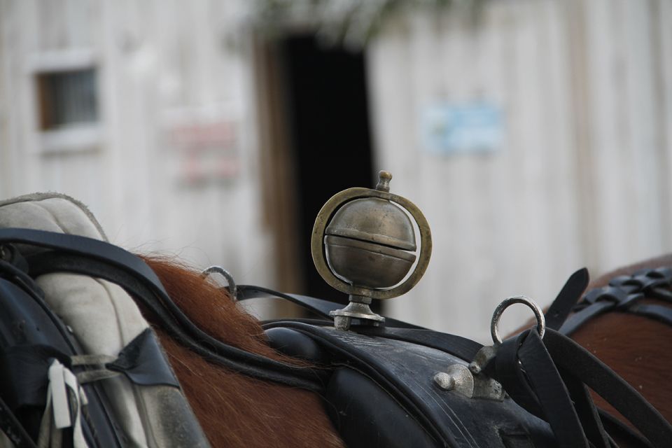 Levi, Polar Lights Tours: One Horse Open Sleigh Ride - Awe-Inspiring Arctic Night