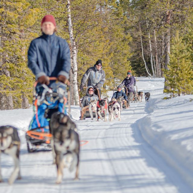 Levi Polar Lights Tours: Reindeer and Husky Safari - Scenic Immersion