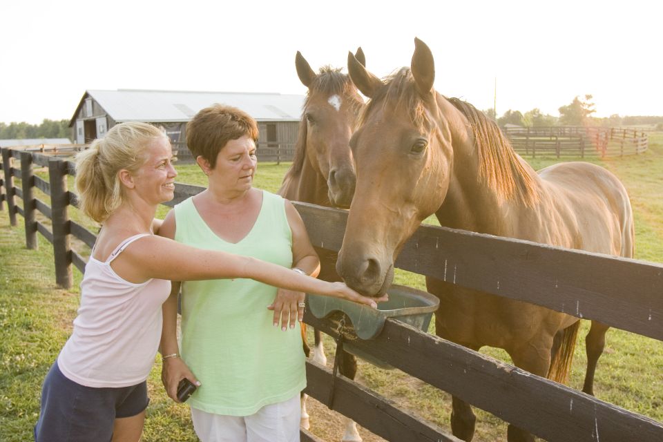 Lexington: Thoroughbred Horse Farm Tour and Keeneland Visit - Schedule and Logistics