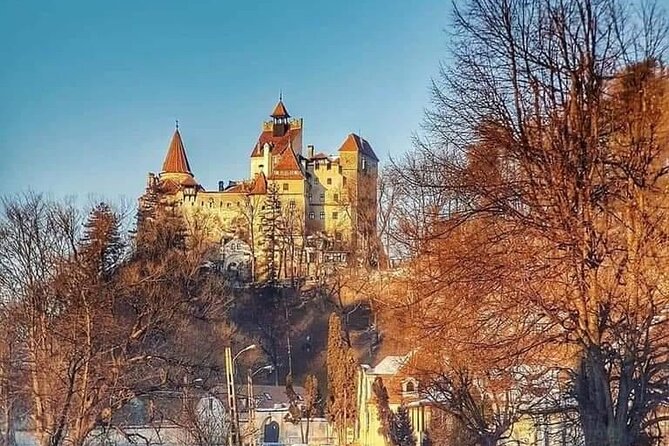 Libearty Brown Bear Sanctuary, Rasnov Fortress, Bran Castle Day Tour From Brasov - Tour Requirements and Accessibility