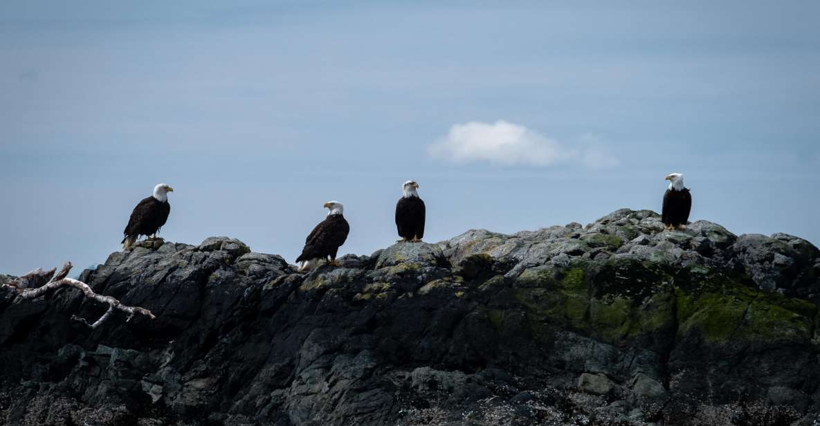 Lighthouse, Totems & Eagles Excursion - Wildlife and Sightseeing Highlights