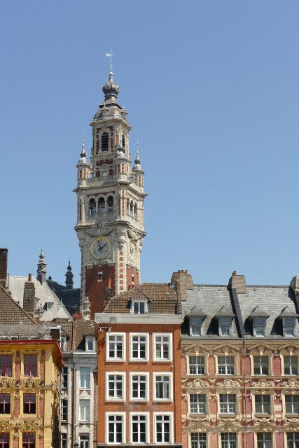 Lille - Private Historic Walking Tour - Palace of Fine Arts: Majestic Façade