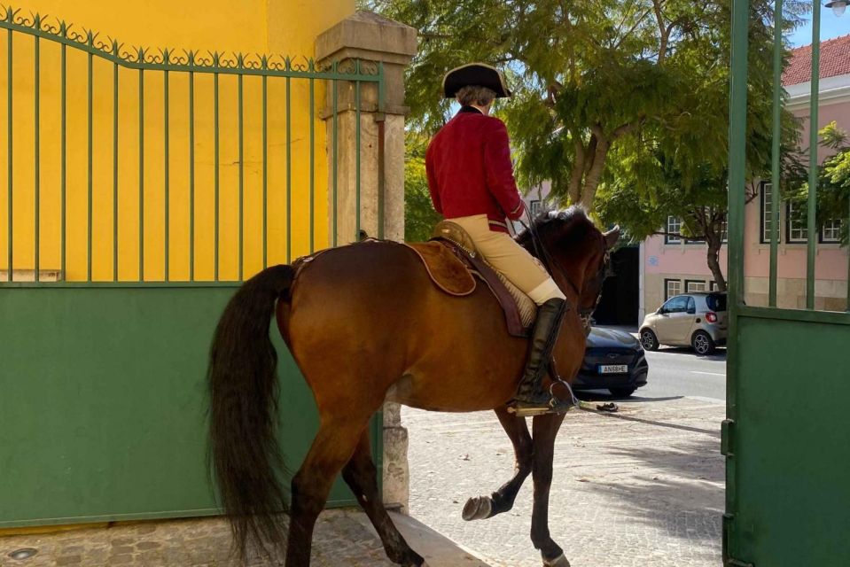 Lisbon: Portuguese Riding School Trainig With Lusitano Horse - Inclusions