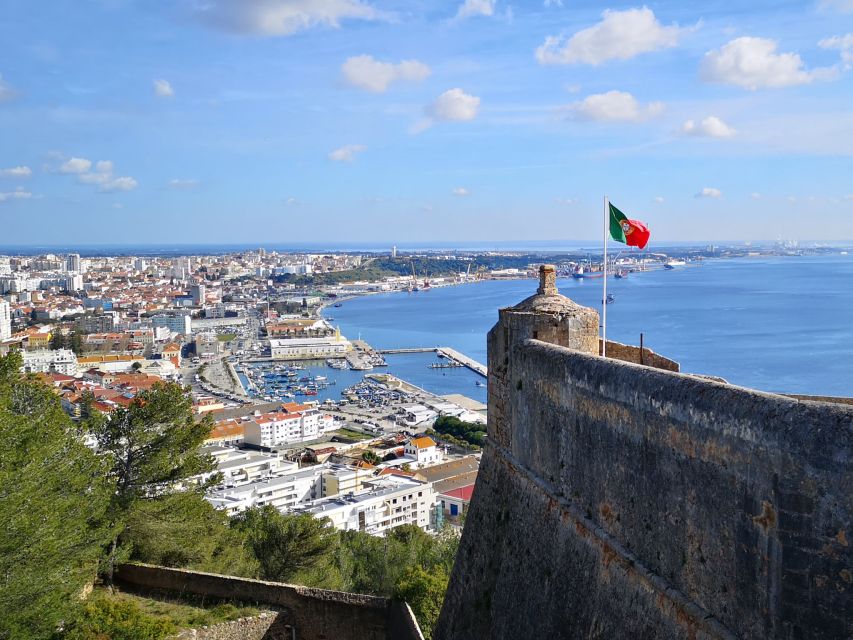 Lisbon: Setúbal History and Fish Market Guided Tour - Setúbal Fish Market