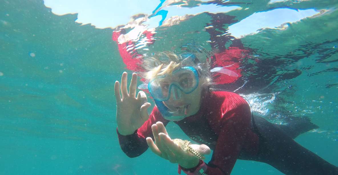 Lisbon: Snorkeling in Sesimbra/Arrábida Natural Park - Inclusions