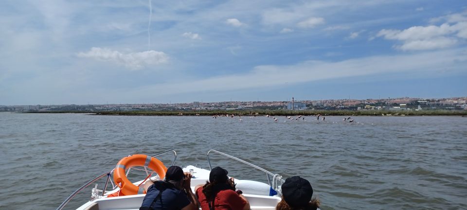 Lisbon: Tagus Estuary Nature Reserve Birdwatching Boat Tour - Inclusions