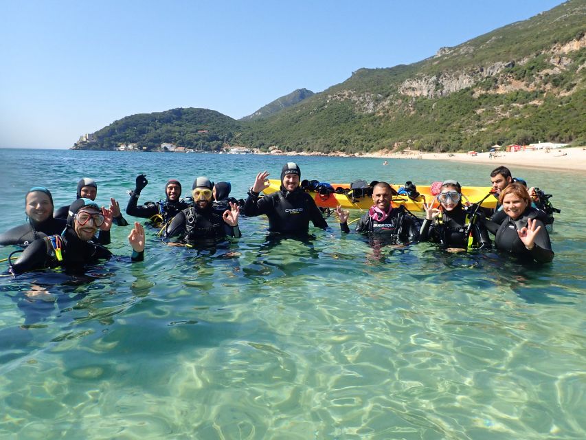 Lisbon: Try Diving in Arrábida Natural Park and Marine Reserve - Encounter Unique Marine Species