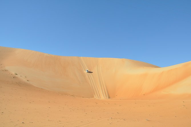 Liwa Full Day Desert Safari (exploring) - Cultural Immersion