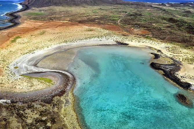 Lobos Island - the Dolphin Route - Included Hotel Pickup and Drop-off