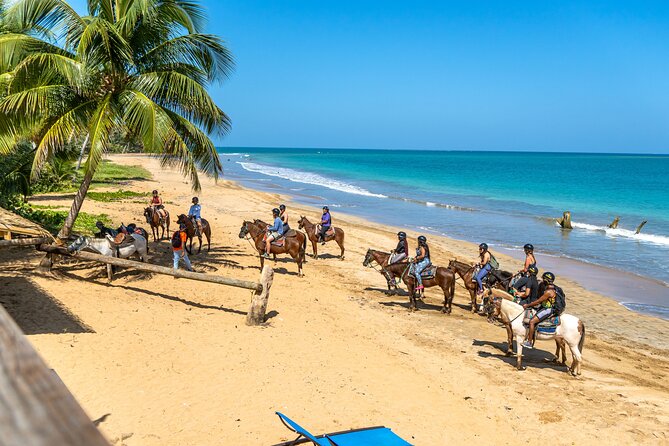 Luquillo Beach Horse Ride From Carabalí Rainforest Adventure Park - Traversing Tropical Rainforests