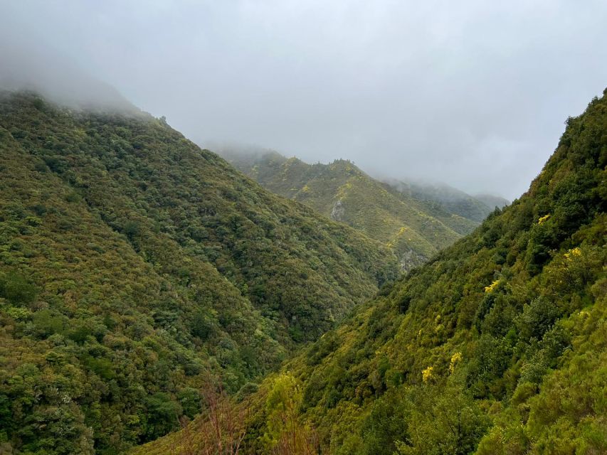 Madeira: 25 Fontes and Risco Levada Hike With Transfers - Hiking Experience