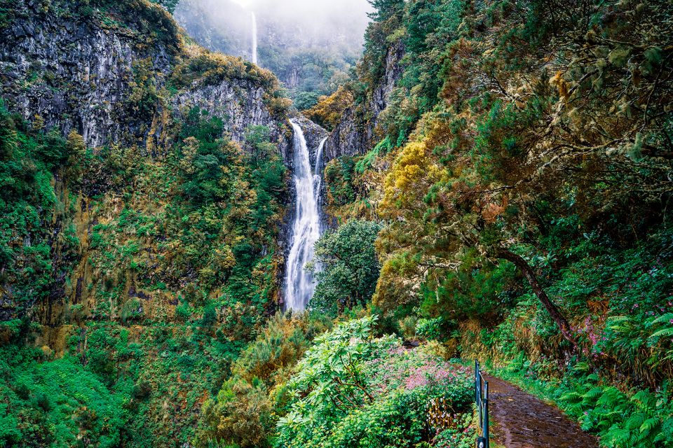 Madeira: Enjoy a Guided Levada Walk in the Rabaçal Valley - Discovering Waterfalls and Endemic Flora