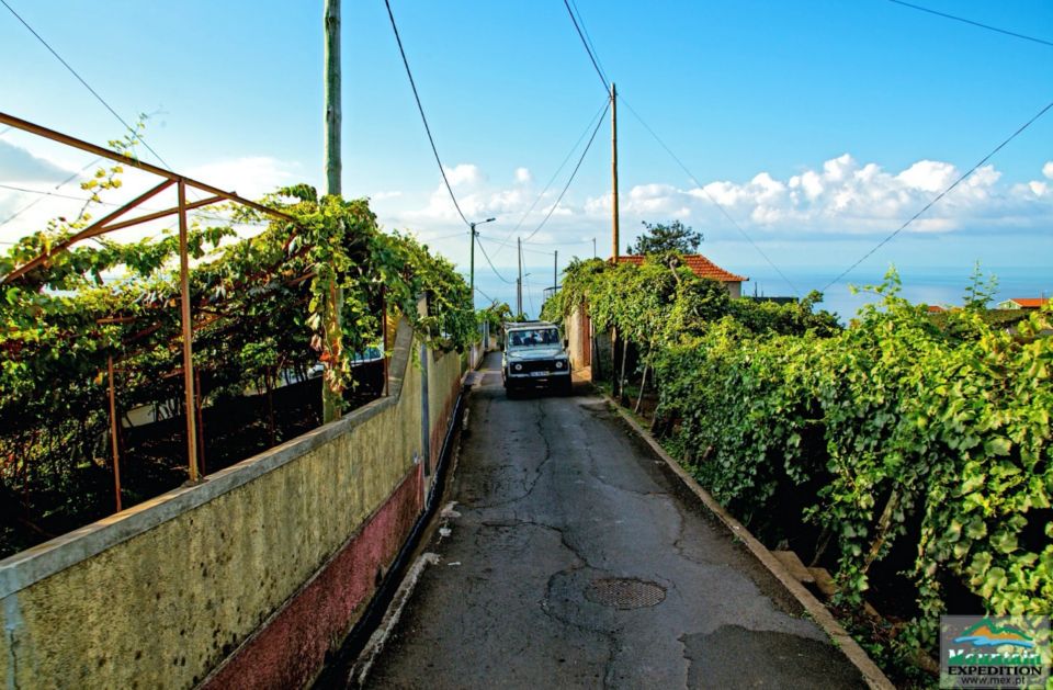 Madeira: Half-Day Nuns Valley and Sea Cliff Tour - Panoramic Mountain Views