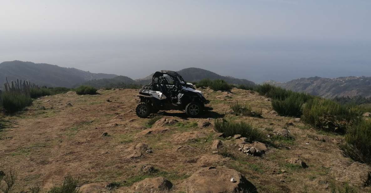 Madeira: Half-Day Off-Road Buggy Tour - Buggy Experience Details