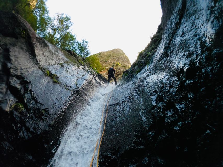 Madeira: Intermediate (Level 2) Canyoning Experience - Canyoning Highlights and Challenges