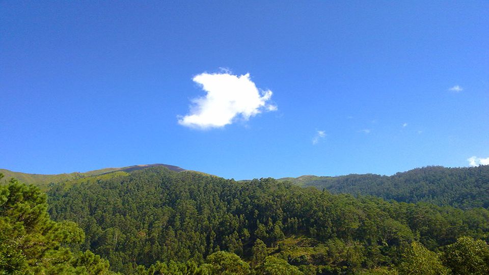 Madeira: Levada Calheta to Prazeres Private Walking Tour - Highlights of the Tour