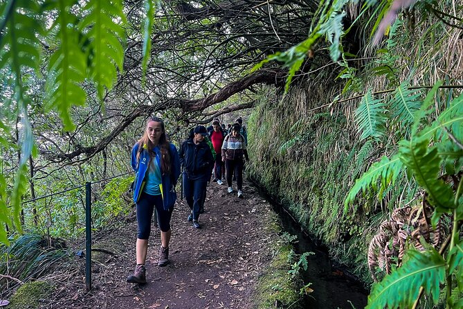 Madeira Levada Walk - Caldeirao Verde - The Caldeirão Waterfall and Lagoon