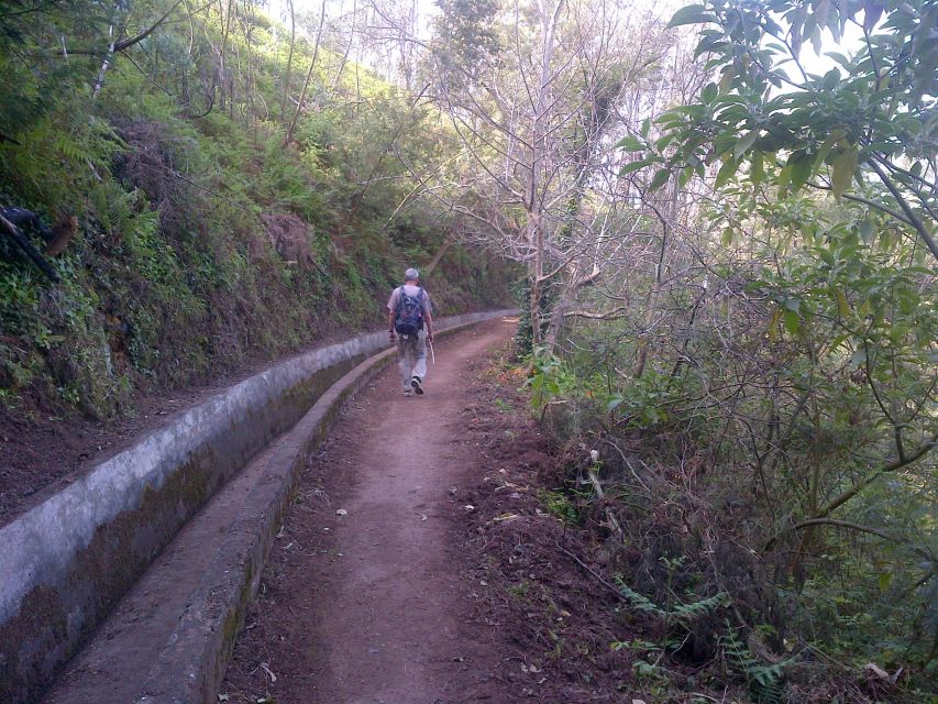 Madeira: Levado Do Norte 2-Hour Hiking Tour - Inclusions and Exclusions