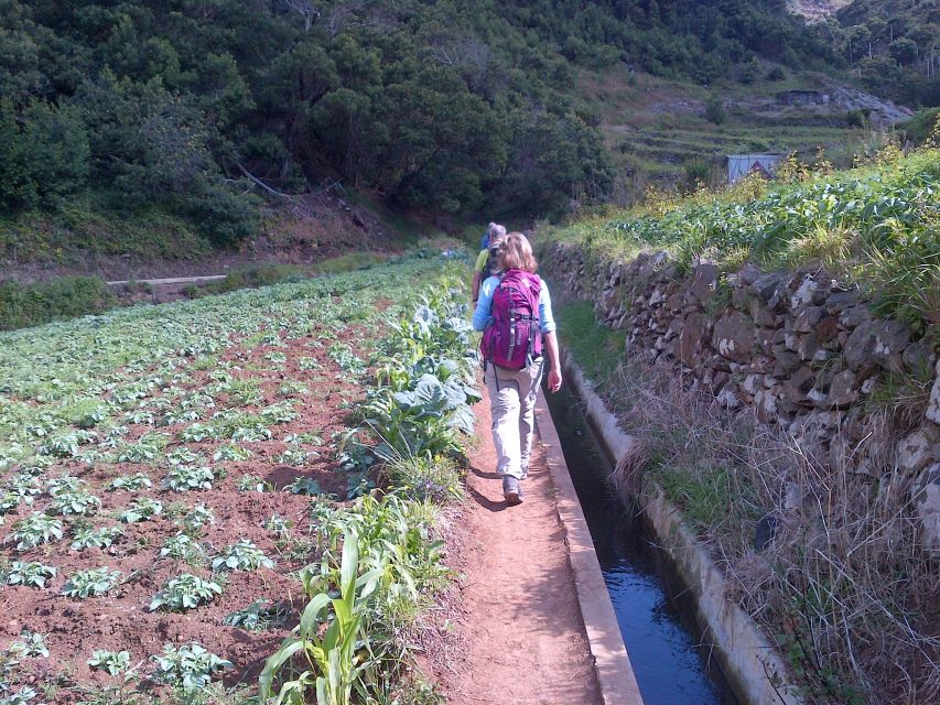 Madeira: Maroços Landscapes 2.5-Hour Guided Walk - Agricultural Landscapes and Terraces