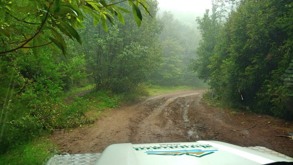 Madeira: Mini-Combo East Challenge: Jeep Safari + Levada - Exploring Southeast Madeira