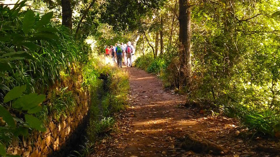 Madeira: Paradise Valley Levada Walk - Highlights of the Experience