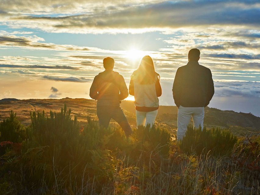 Madeira: Pico Arieiro Sunrise Private Jeep Tour - Pickup and Drop-off