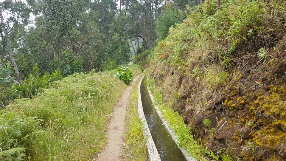 Madeira: Private Levada Ponta Do Pargo Walk - Included in the Tour