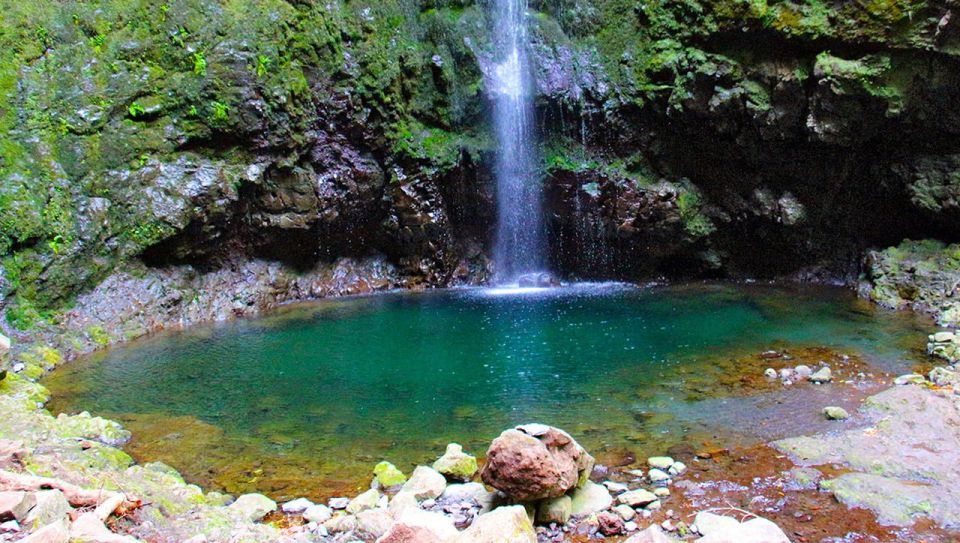 Madeira: Queimadas, Caldeirão Verde, and Levada Walk - Inclusions