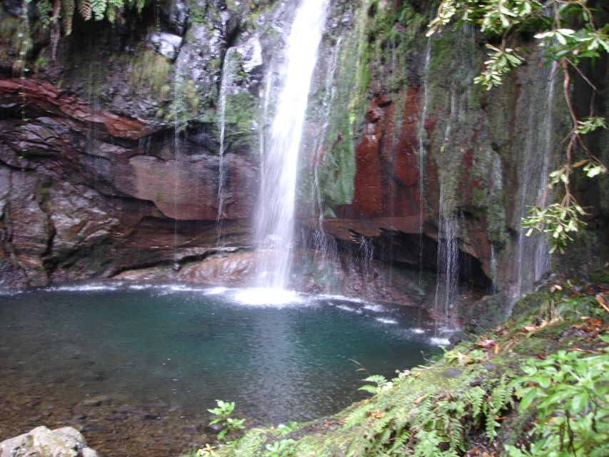 Madeira: Rabaçal Valleys 3-Hour Guided Walk - Difficulty and Languages