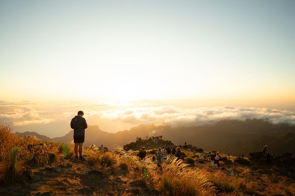 Madeira Special Machico and Porto Da Cruz 4 Hours Jeep Tour! - Highlights of the Tour