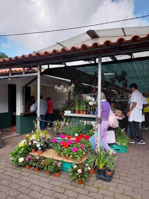 Madeira: Sunday Market in Santo Da Serra - Guided Tour and Market Visit