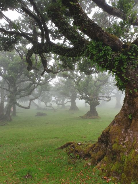 Madeira Wild West 4X4 Private Tour - Inclusions and Exclusions