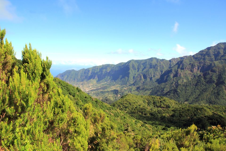 Madeira: Wine Safari Jeep Tour With Local Guide - Exploring Mountain Ranges and Valleys